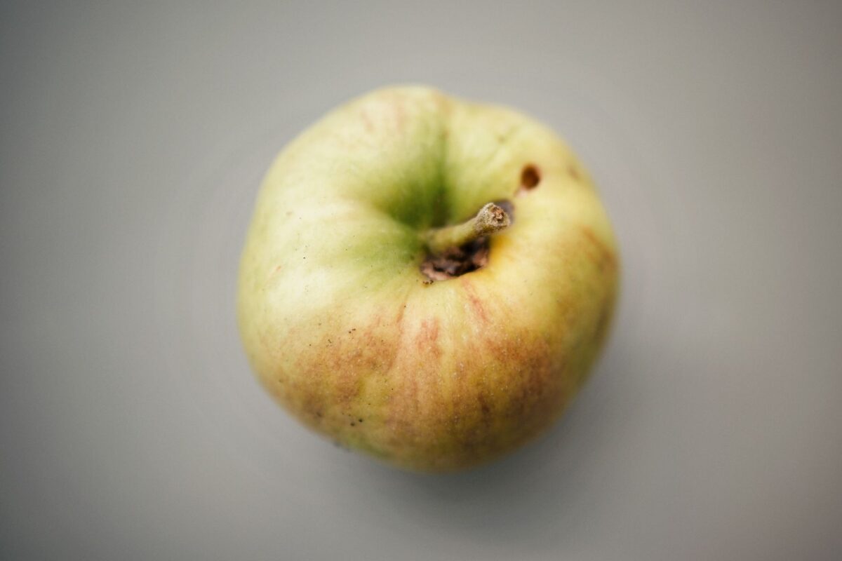 Malus Écologique 2025 : Barème et Calcul